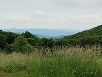 IMG_20250605_110338173