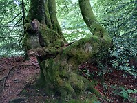 IMG_20250605_105317453_HDR