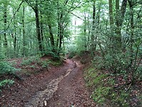 IMG_20250605_094329413