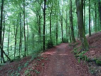 IMG_20250605_092755921