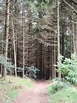IMG_20250605_121424705