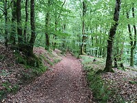 IMG_20250605_124521234