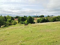 IMG_20250606_172032345