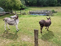 IMG_20250606_171108788