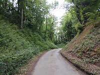 IMG_20250606_144432644