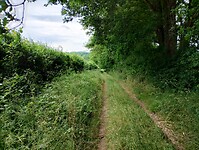 IMG_20250606_135358966_HDR