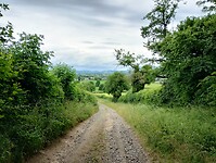 IMG_20250606_132406924_HDR
