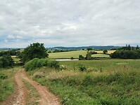 IMG_20250606_105341523