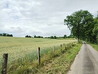 IMG_20250606_101914234