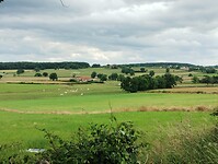 IMG_20250607_162106341