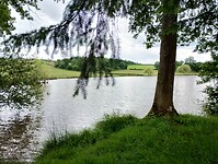 IMG_20250607_151655856_HDR