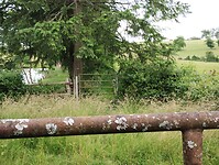 IMG_20250607_151552897