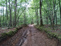 IMG_20250607_140029463