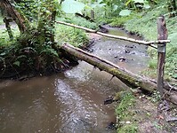 IMG_20250607_135432299