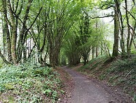 IMG_20250607_130418453