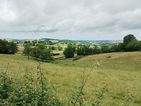 IMG_20250607_122823621