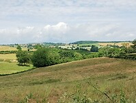 IMG_20250607_114812260