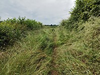 IMG_20250607_114157476