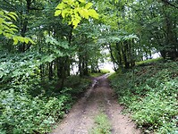 IMG_20250607_114000421