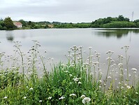 IMG_20250607_112914386