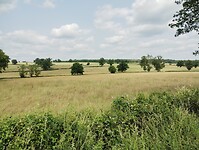 IMG_20250608_145849999