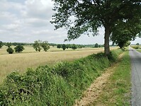 IMG_20250608_145843032