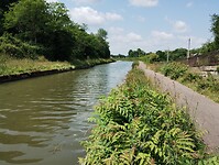 IMG_20250608_121744337