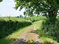 IMG_20250608_114257998_HDR