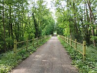 IMG_20250608_102939646