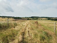IMG_20250608_100814062