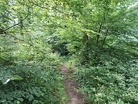 IMG_20250608_095932193