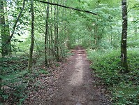 IMG_20250608_094349226