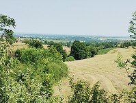 IMG_20250609_135846605