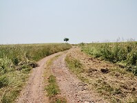 IMG_20250609_133410978
