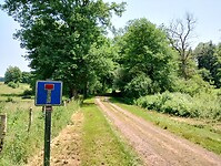 IMG_20250609_131905929_HDR
