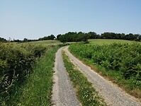 IMG_20250609_121458215