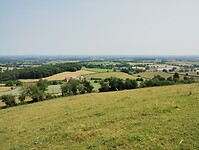 IMG_20250609_113515476