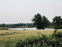 IMG_20250609_110751449