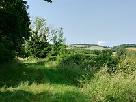IMG_20250609_105835580_HDR