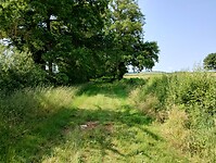 IMG_20250609_105232159_HDR