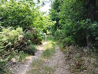 IMG_20250610_143421904