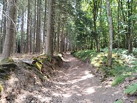 IMG_20250610_142852852
