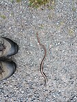IMG_20250610_140737409