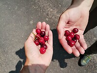 IMG_20250610_135716416