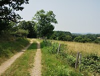 IMG_20250610_132718402