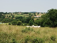 IMG_20250610_132657211