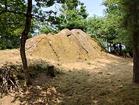 IMG_20250610_125713654_HDR