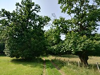 IMG_20250610_103812691_HDR