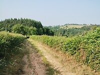 IMG_20250610_092643489