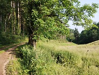 IMG_20250610_085159953